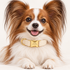 Pawture maison gallery02 IvoryPearl on pet