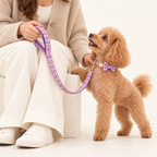 Pawture maison gallery06 LavenderMist indoor studio faceless human, matching leash and collar-mounted bow tie