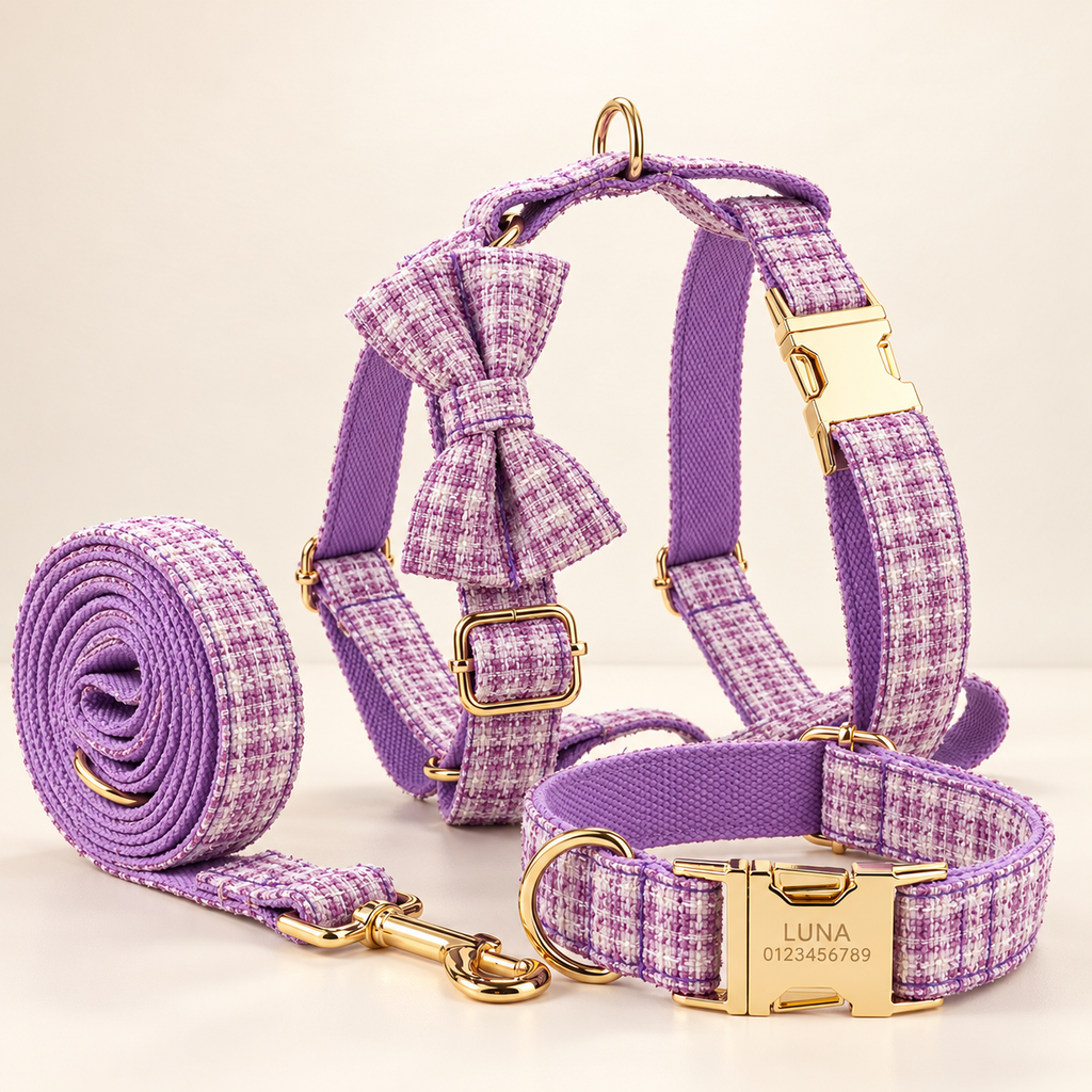 Pawture maison gallery07 LavenderMist full set