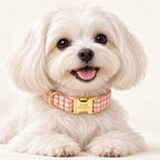 Pawture maison gallery02 RoseBlush on pet