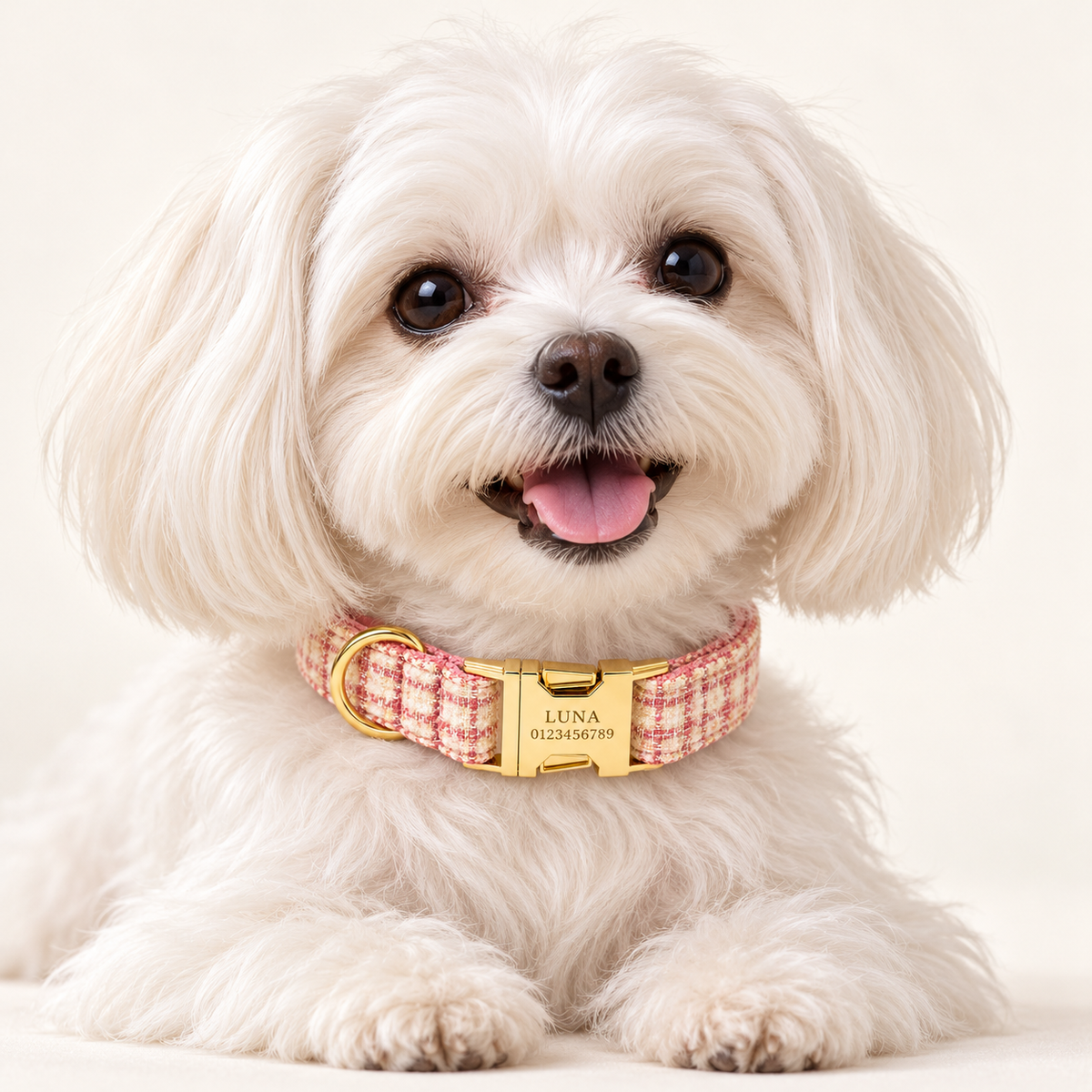 Pawture maison gallery02 RoseBlush on pet