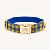 Blue&Yellow Plaid