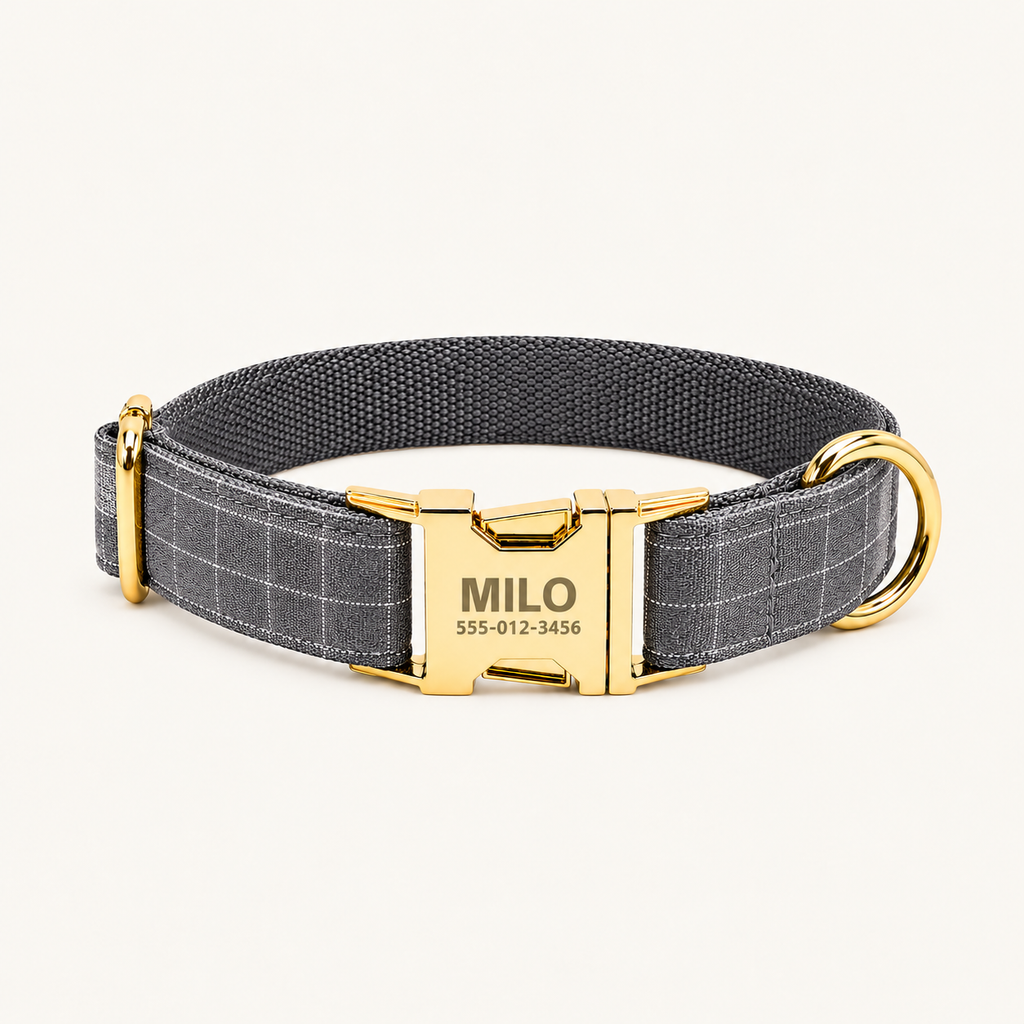 GraySuit | flat plaid dog collar