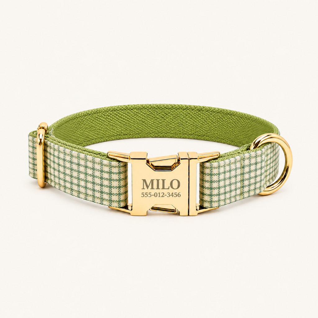 GreenMicro | flat plaid dog collar