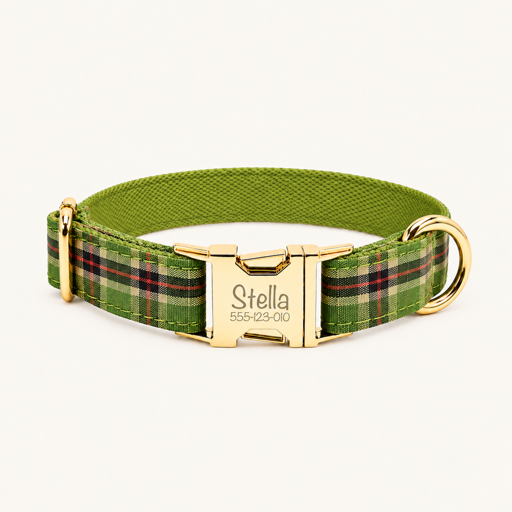 GreenPlaid | flat plaid dog collar
