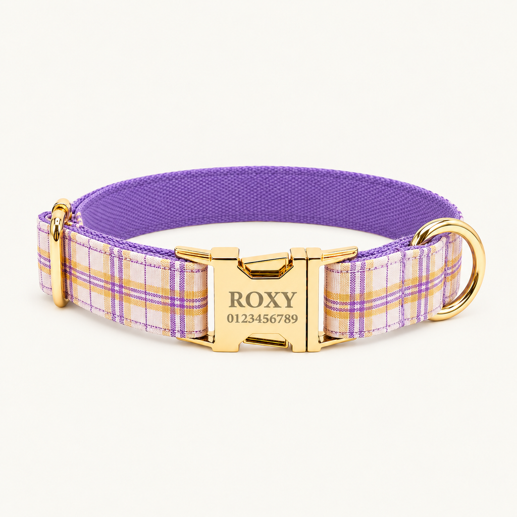 PurplePlaid | flat plaid dog collar