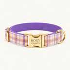 PurplePlaid | flat plaid dog collar