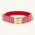 Red Picnic