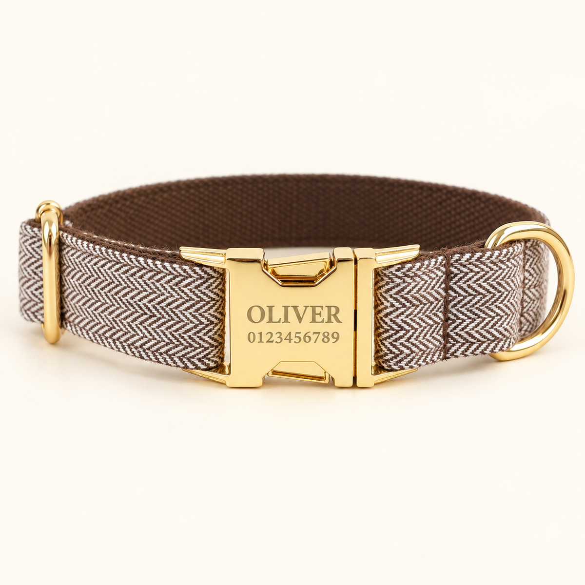 Personalized Suiting Dog Collar