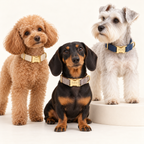 Suiting collection — White Brown Herringbone with Ivory Herringbone and Dark Blue Herringbone; three breeds in an ivory photography studio