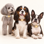 Suiting collection — Brown Tweed with Light Gray Herringbone and Light Brown Herringbone; three breeds in an ivory photography studio