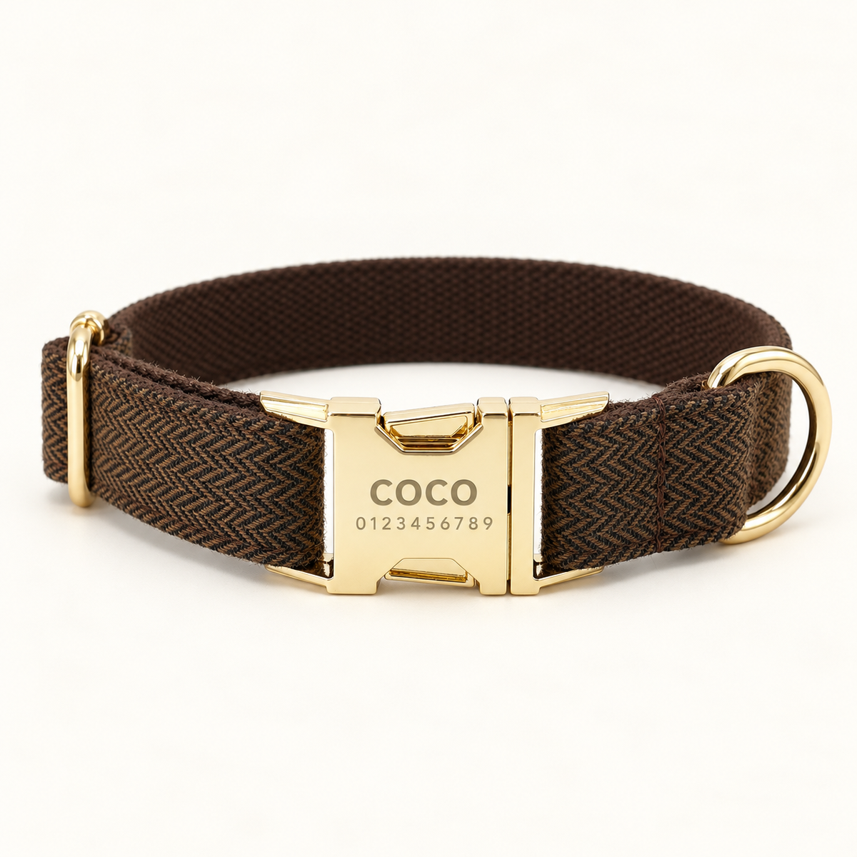 Personalized Suiting Dog Collar