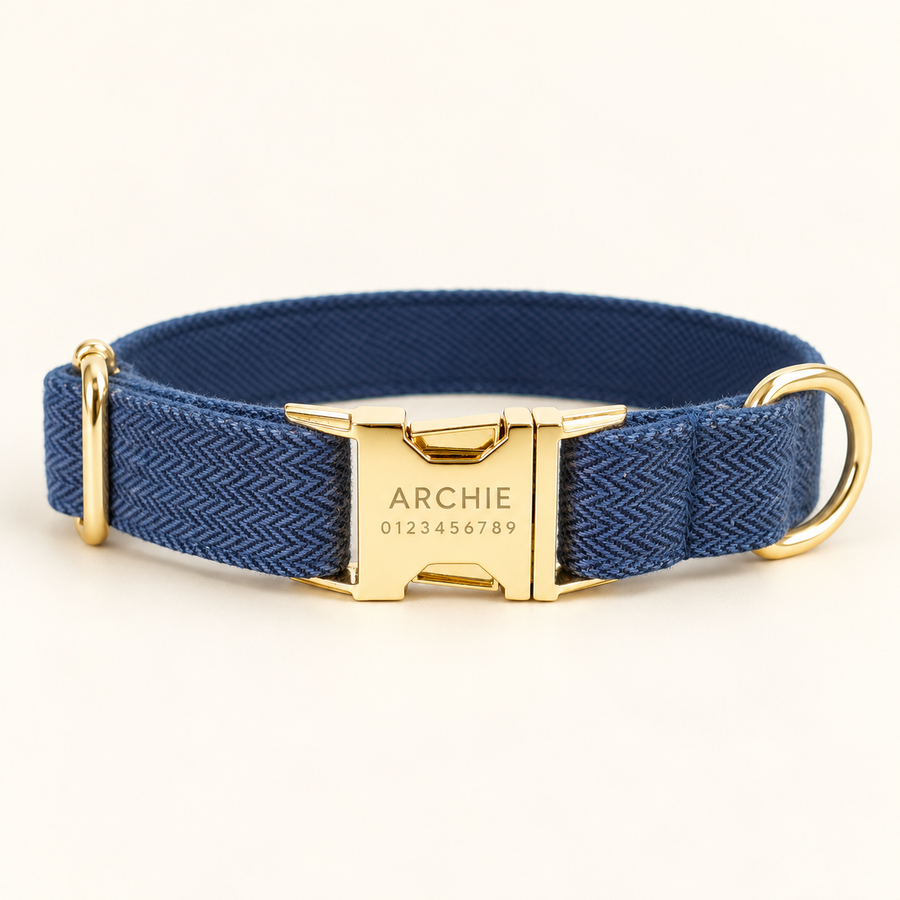 Personalized Suiting Dog Collar