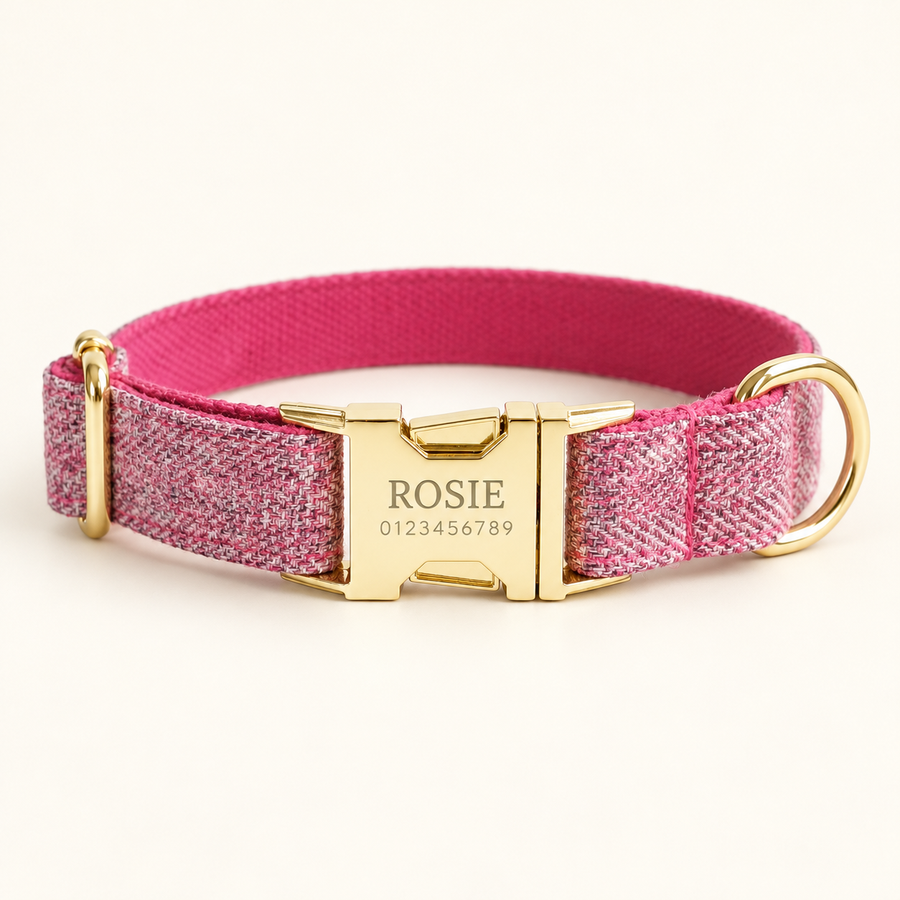 Personalized Suiting Dog Collar