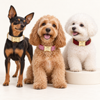 Suiting collection — Pink Tweed with Ivory Herringbone and Red Tweed; three breeds in an ivory photography studio