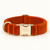 AmberSpice