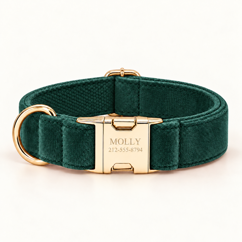 Pawture EmeraldGrove velvet dog collar - 01-hero