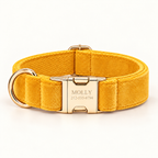 Pawture GoldenButtercup velvet dog collar - 01-hero