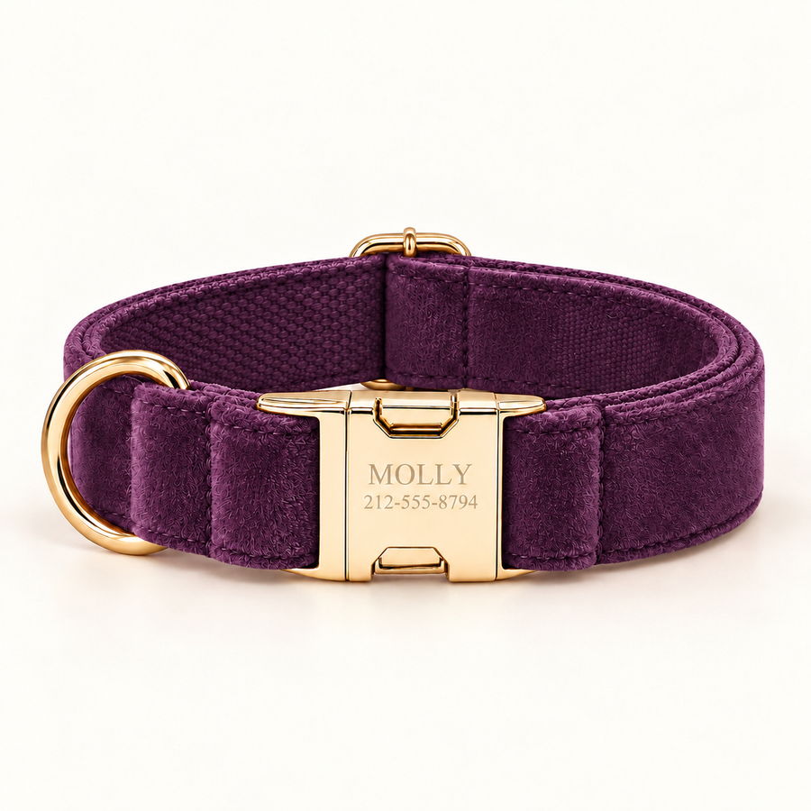 Personalized Velvet Dog Collar