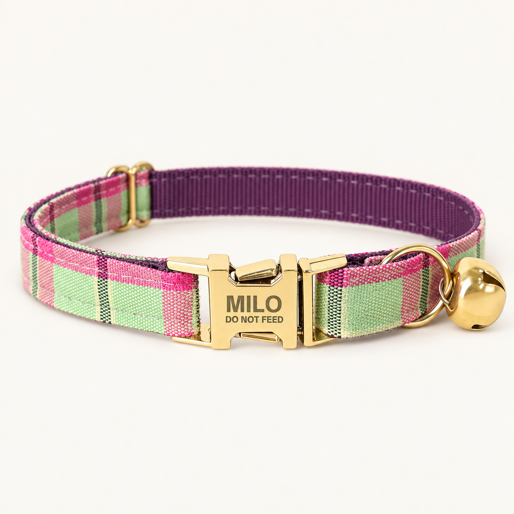 Mint Purple Plaid | flat cat collar