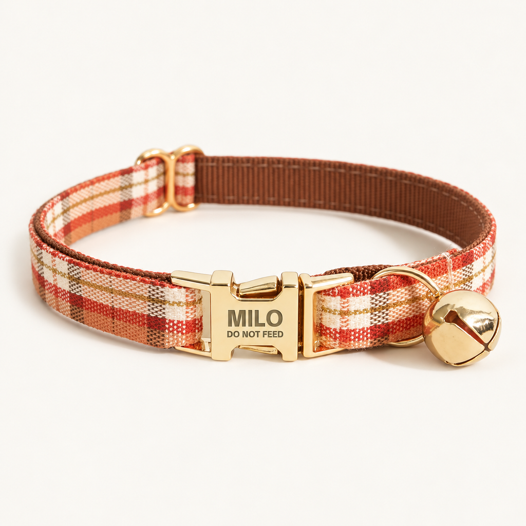 Orange Plaid | flat cat collar