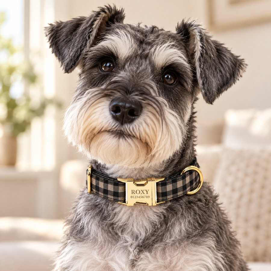 Personalized Plaid Dog Collar