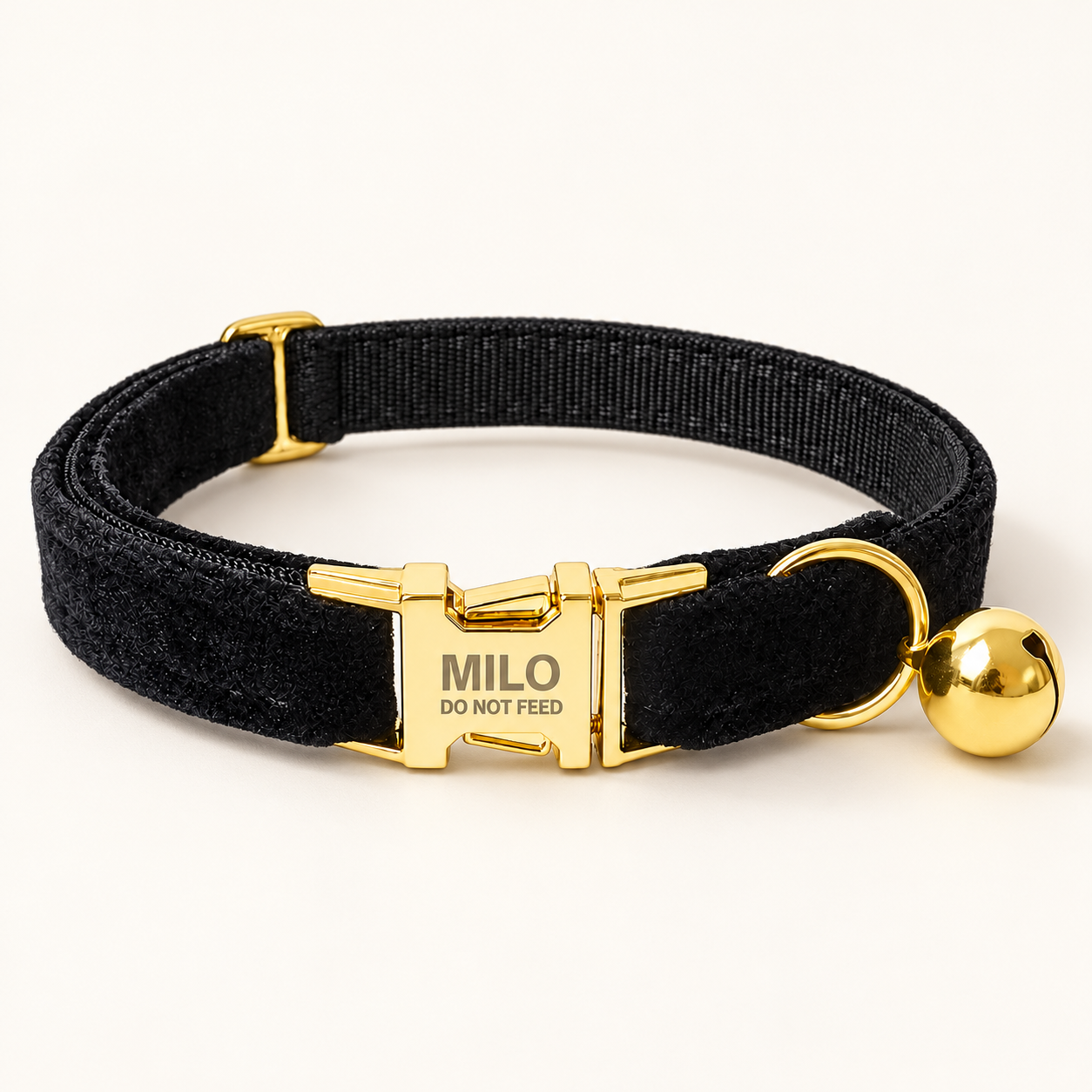 Black velvet personalized cat collar with engraved gold buckle and removable bell