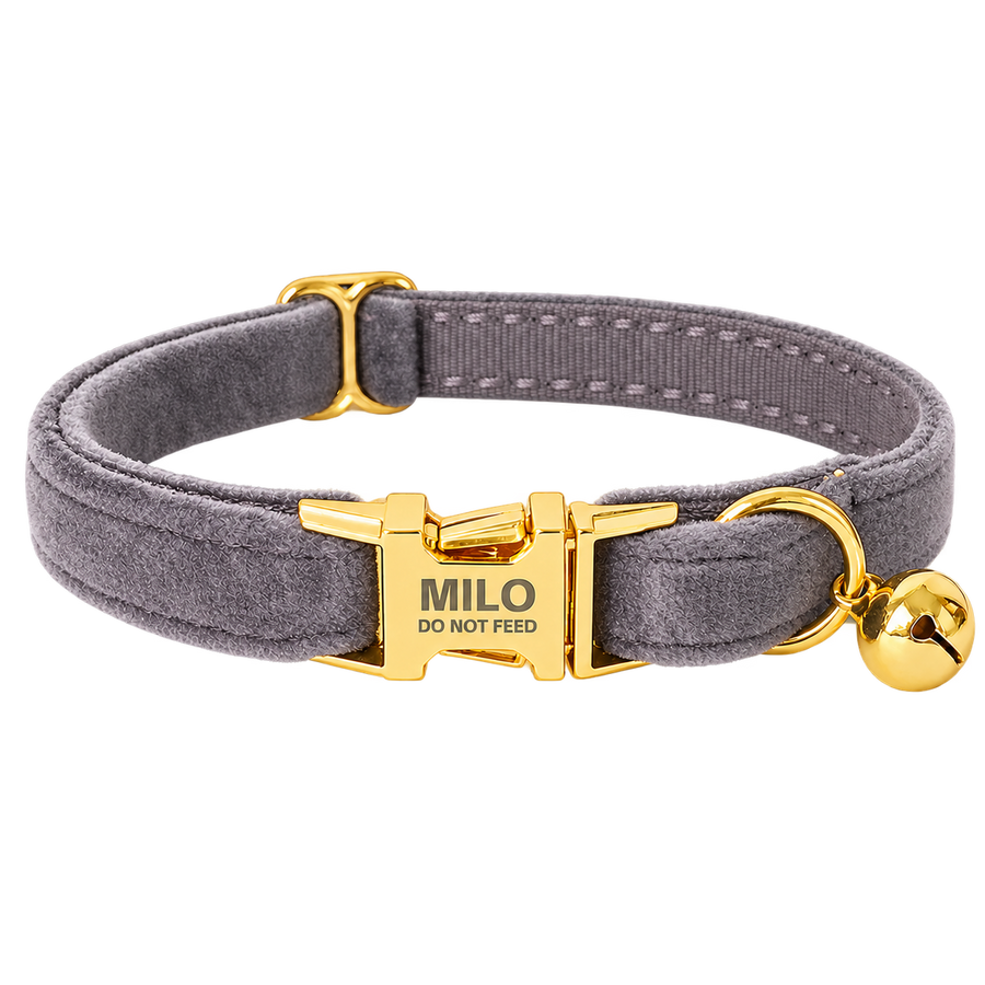 Personalized Velvet Cat Collar with Bell
