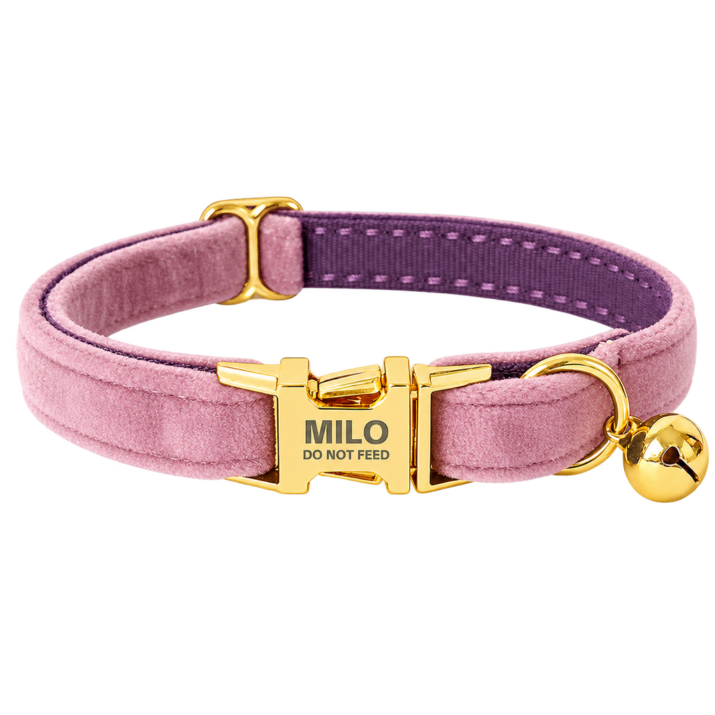 Personalized Velvet Cat Collar with Bell in Dark Purple, flat product view.