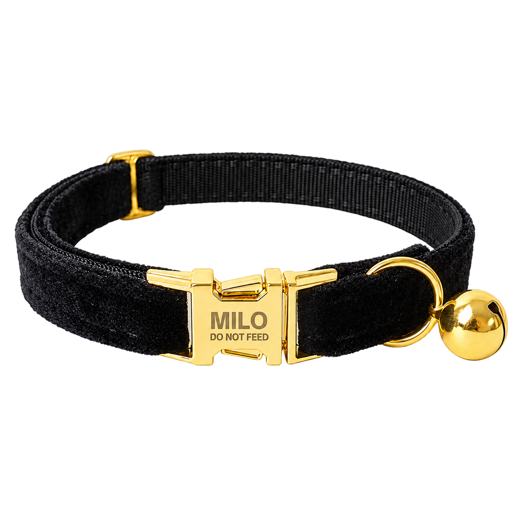 Black velvet personalized cat collar with engraved gold buckle and removable bell