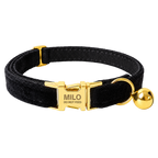 Black velvet personalized cat collar with engraved gold buckle and removable bell
