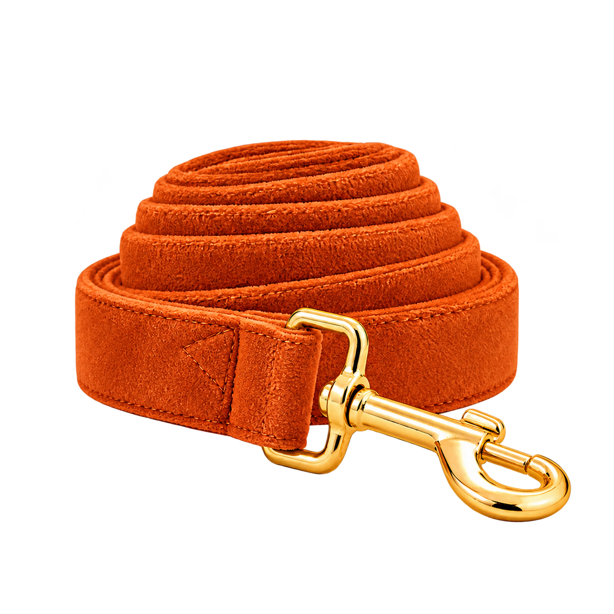 AmberSpice matching leash