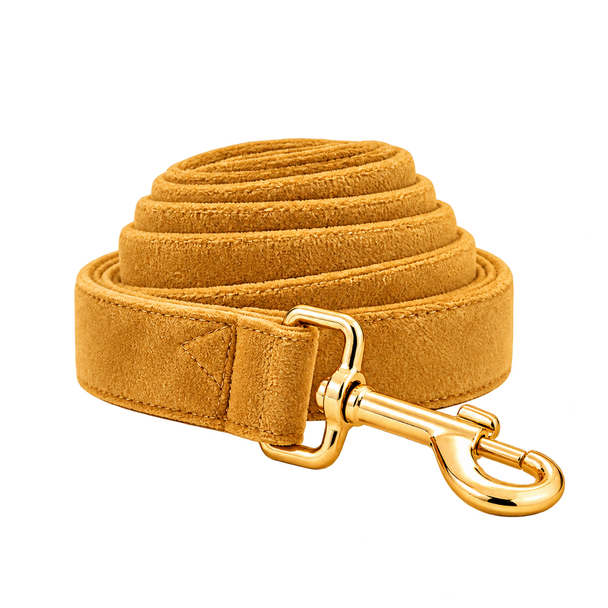GoldenButter matching leash