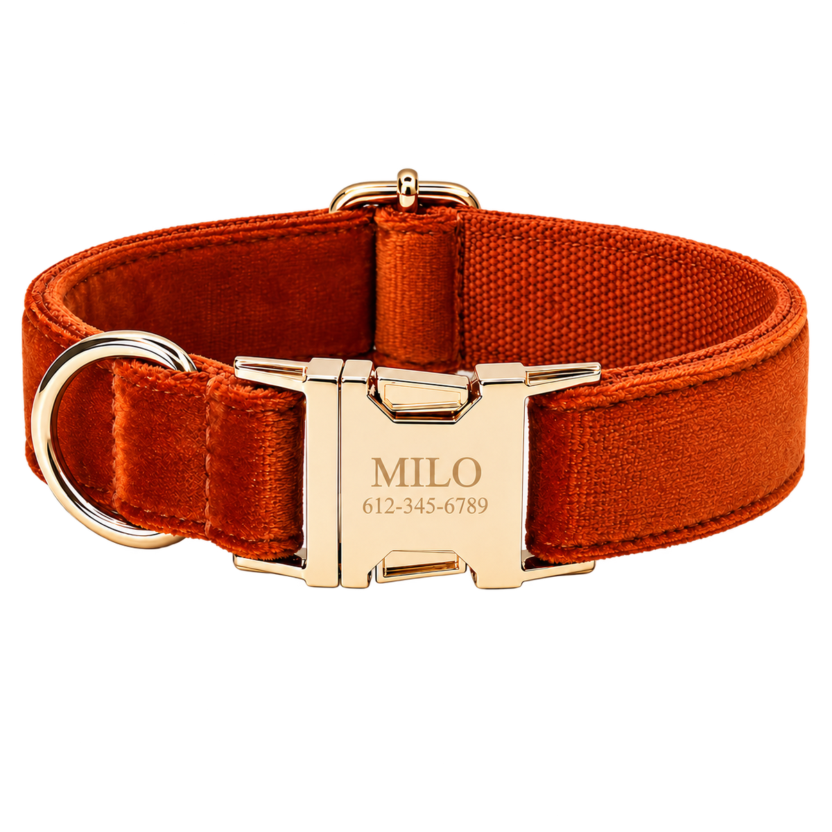 Personalized Velvet Dog Collar